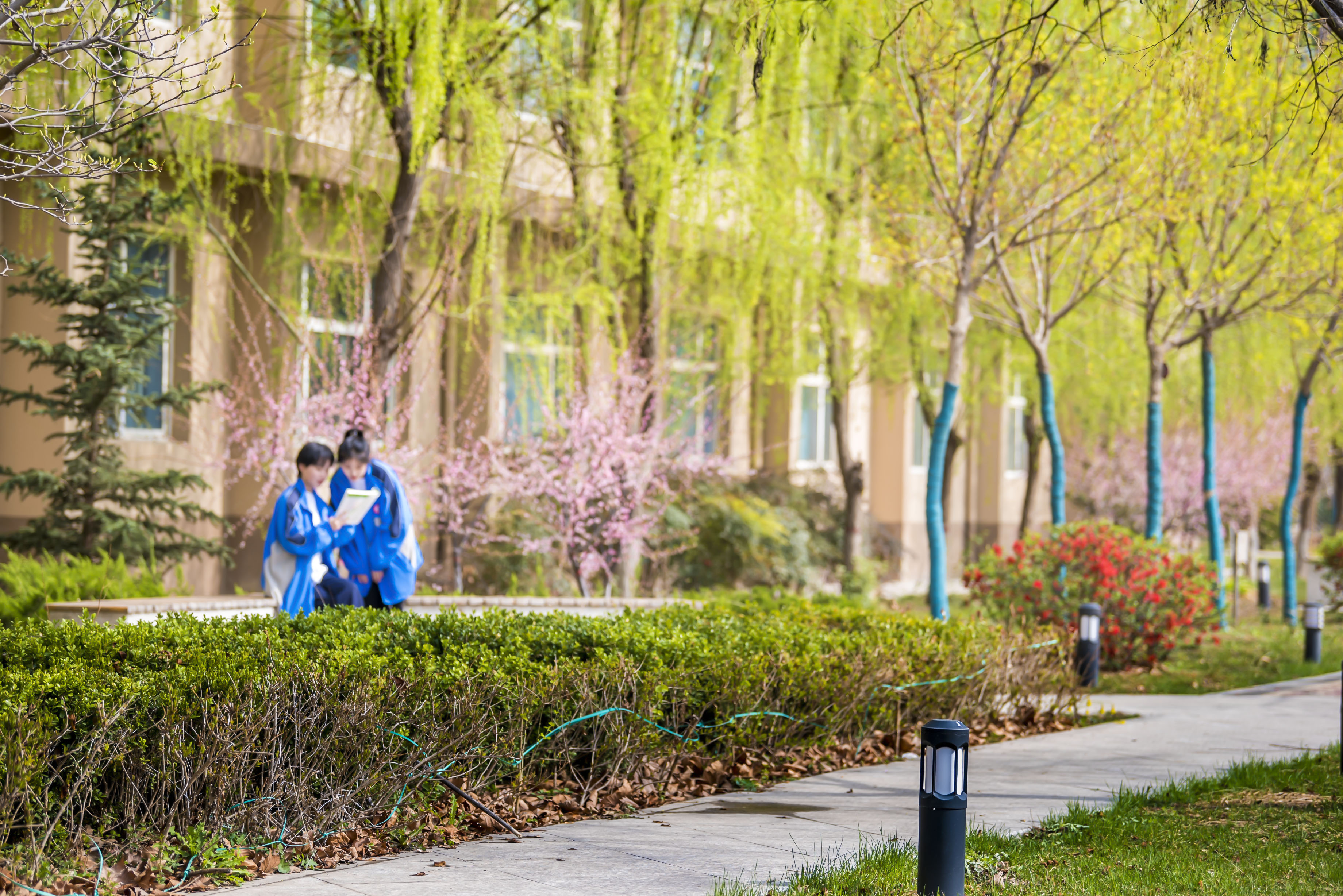 春日校園